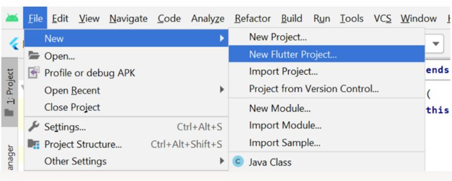 First flutter project